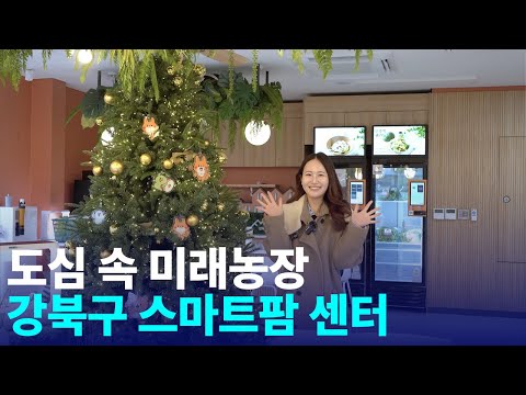 청소년들이 만든 에그타르트, 맛보고 충격받은 하루😳