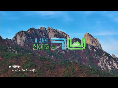 막내에게만 으르렁대던 (슈)크림이… 행동교정 후 놀라운 변화!